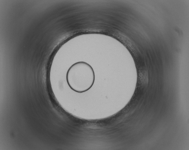 X0000116390534200912291752