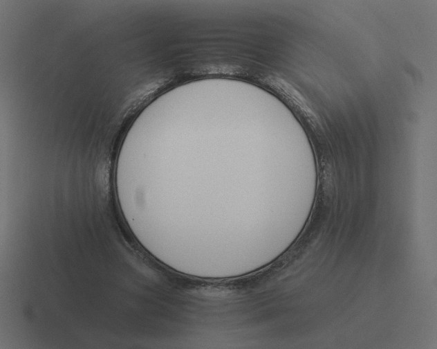 X0000116390537200912291752