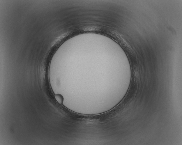 X0000116390539200912291752