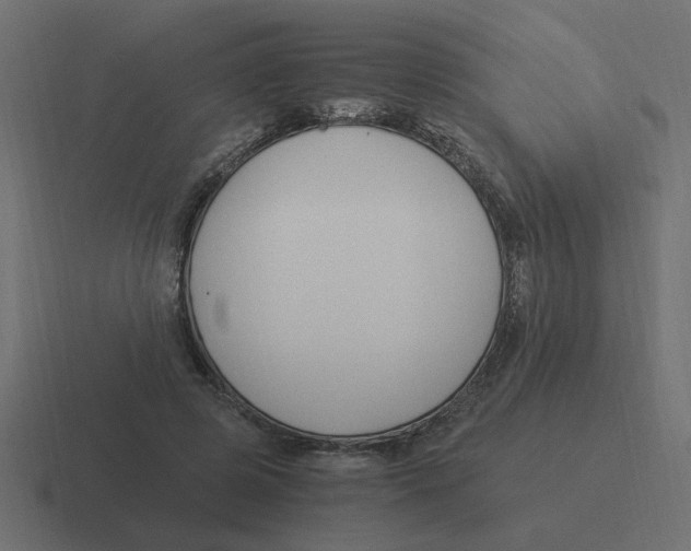 X0000116390545200912291752