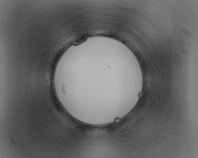 X0000116390546200912291752