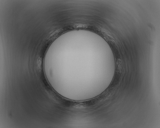X0000116390550200912291752