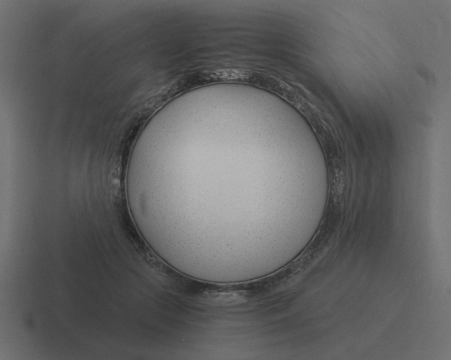X0000116390553200912291752