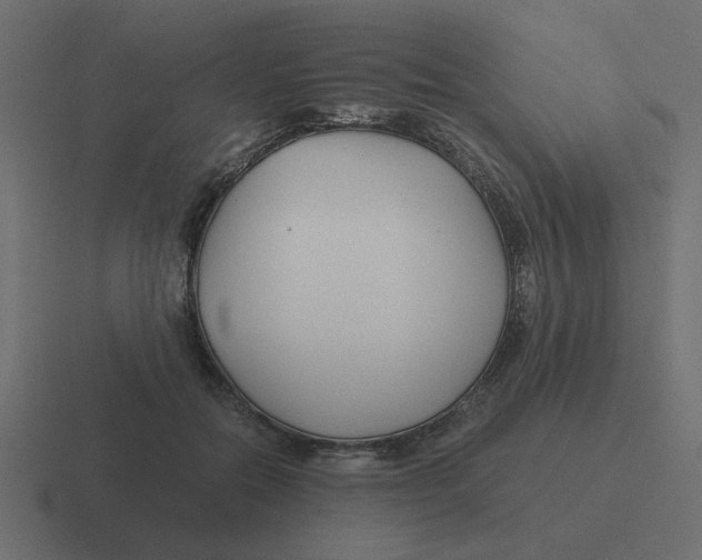 X0000116390554200912291752