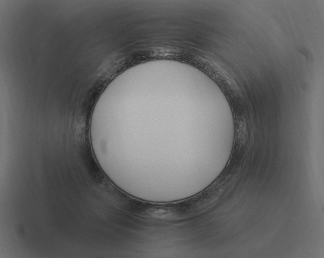 X0000116390557200912291752