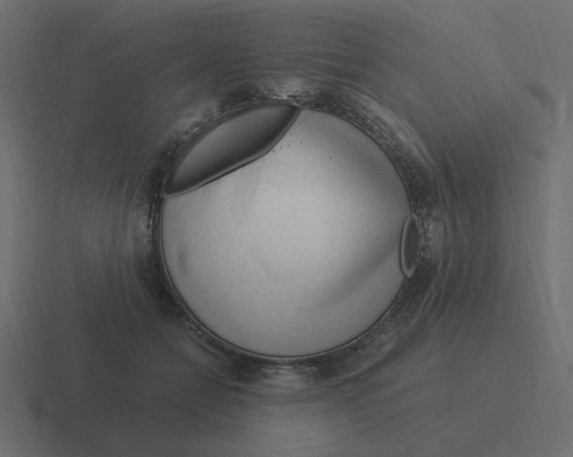 X0000116390558200912291752