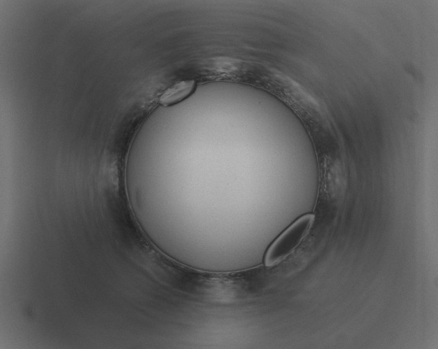 X0000116390562200912291752