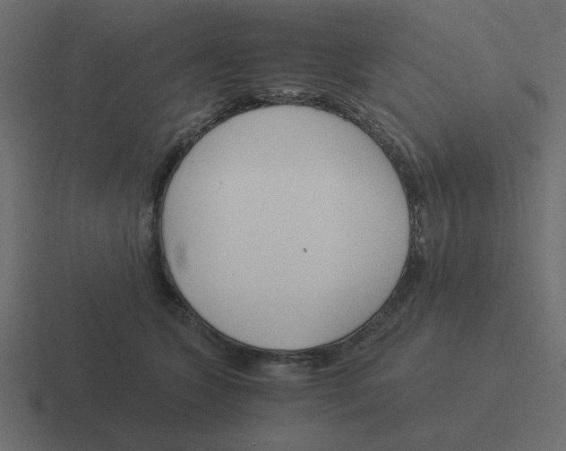 X0000116390563200912291752