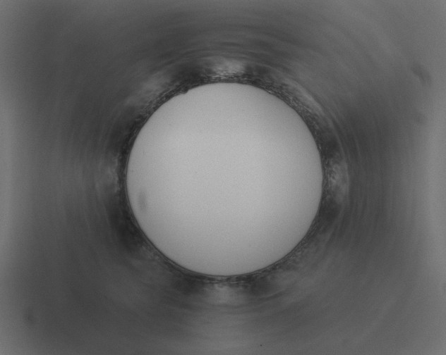 X0000116390565200912291752