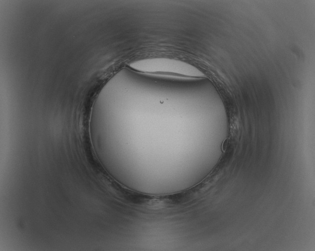 X0000116390566200912291752
