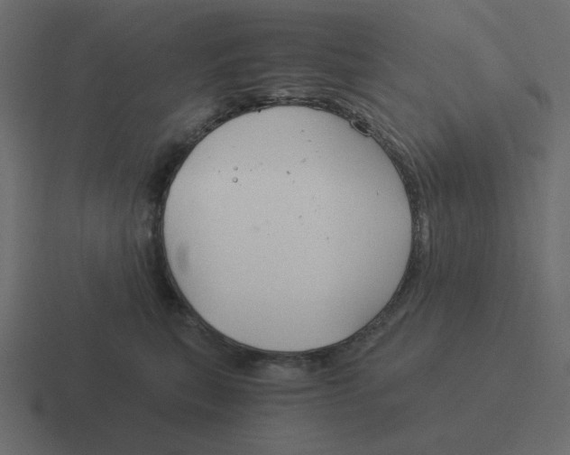 X0000116390567200912291752