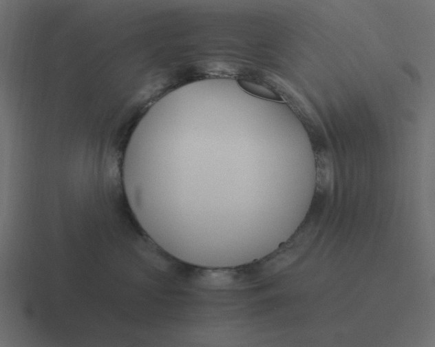 X0000116390573200912291752
