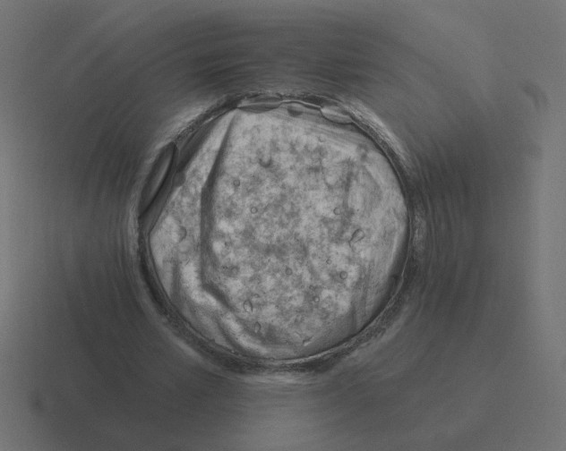 X0000116390581200912291752