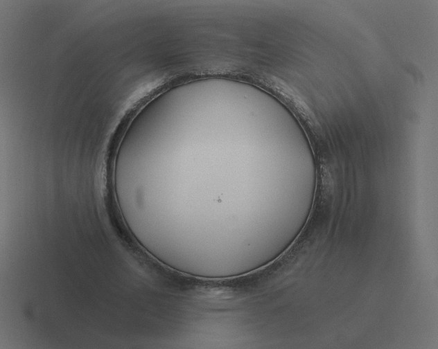 X0000116390582200912291752