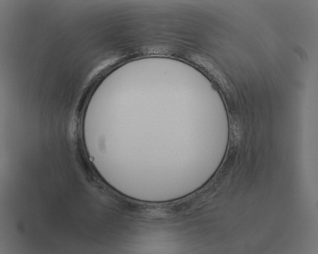 X0000116390583200912291752