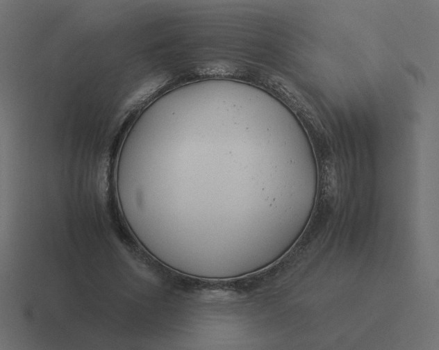 X0000116390586200912291752