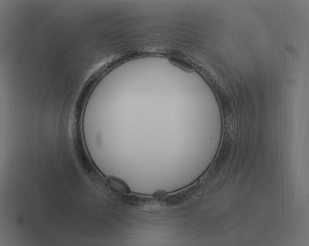 X0000116390587200912291752