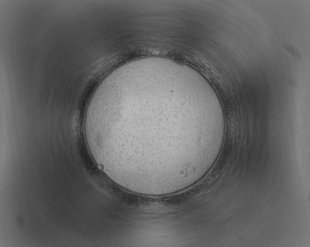X0000116390594200912291751