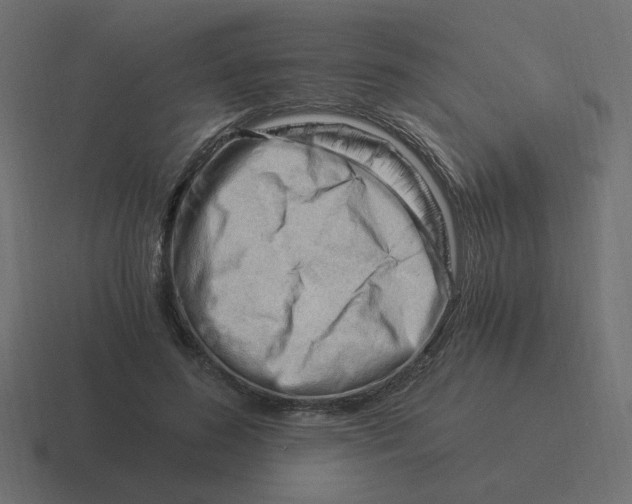 X0000116390596200912291751