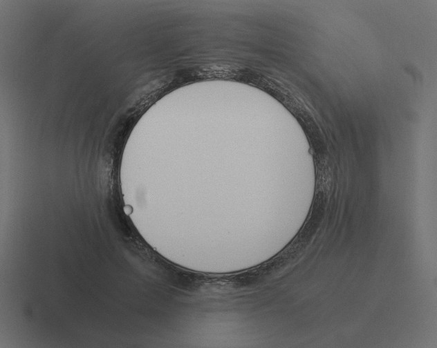X0000116390599200912291751
