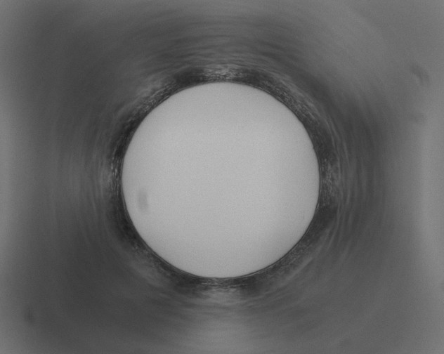X0000116390601200912291751