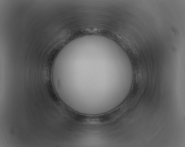 X0000116390606200912291751
