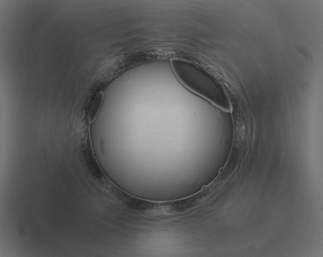 X0000116390609200912291751