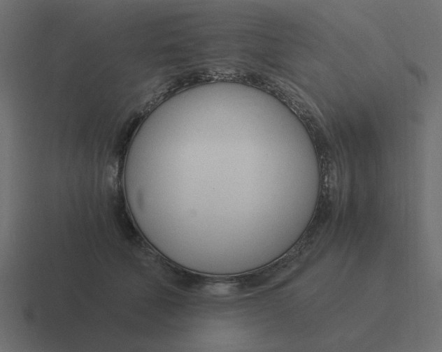 X0000116390610200912291751