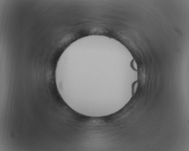 X0000116390619200912291751