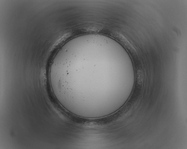 X0000116390634200912291751