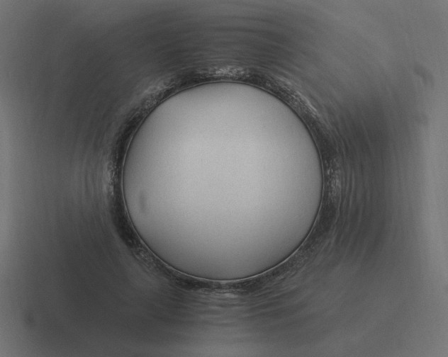 X0000116390643200912291751