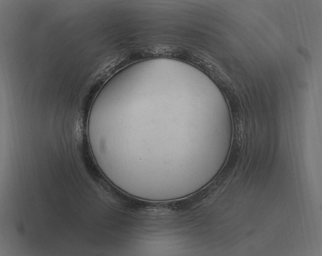 X0000116390644200912291751