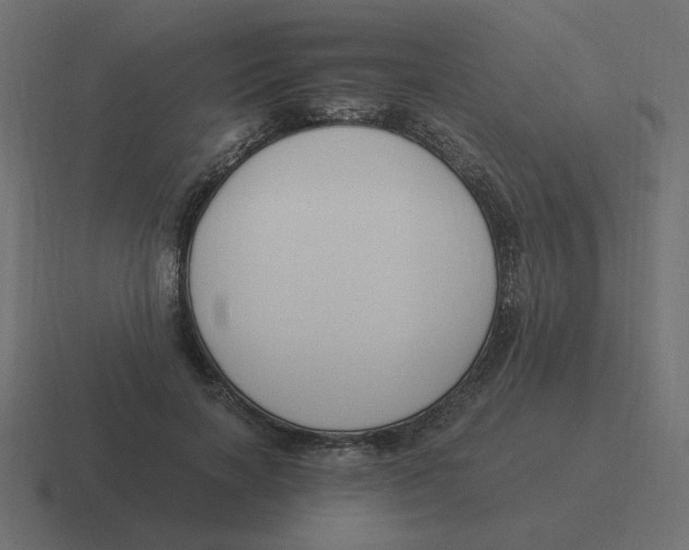 X0000116390646200912291751