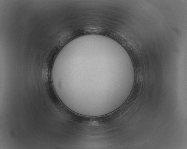 X0000116390647200912291751