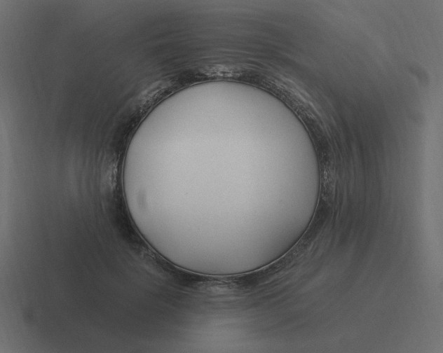 X0000116390652200912291751
