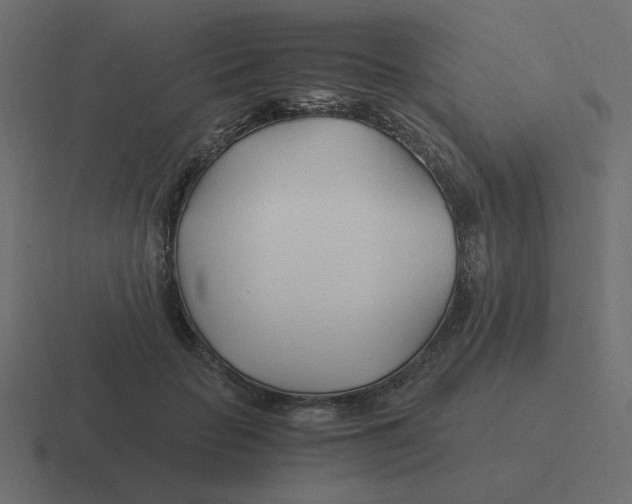 X0000116390653200912291751