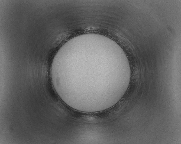 X0000116390654200912291751