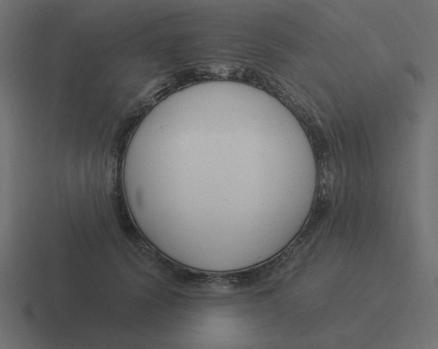 X0000116390656200912291751