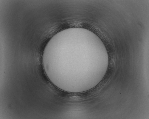 X0000116390658200912291751