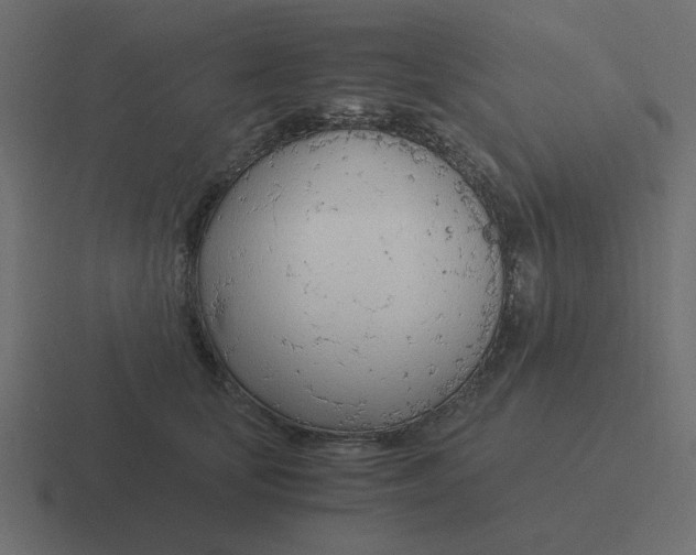 X0000116390659200912291751