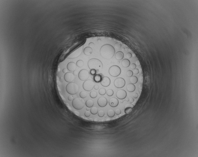 X0000116390662200912291751