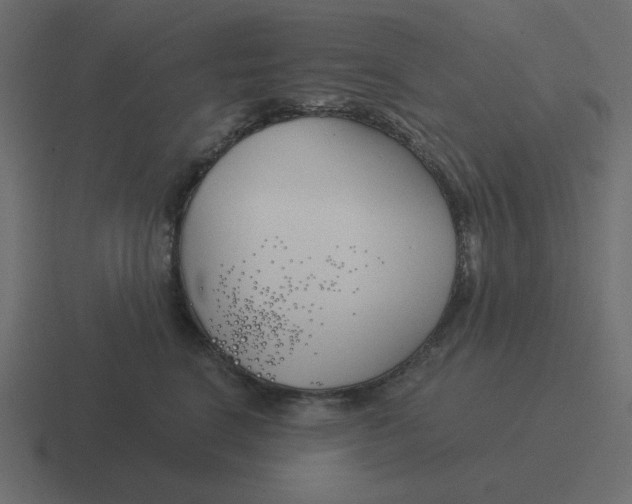 X0000116390664200912291751