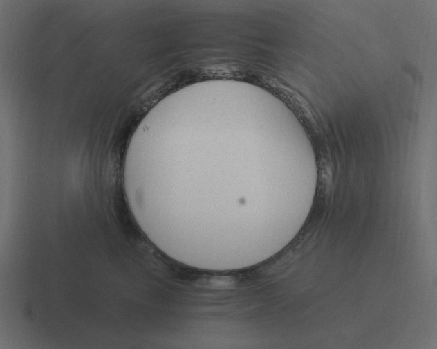 X0000116390665200912291751
