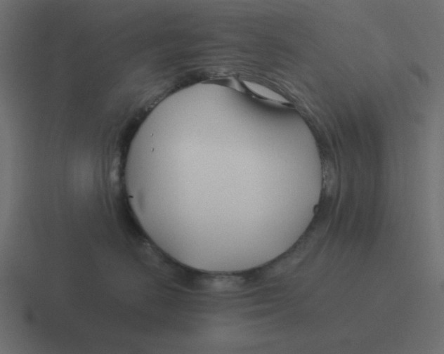 X0000116390670200912291751