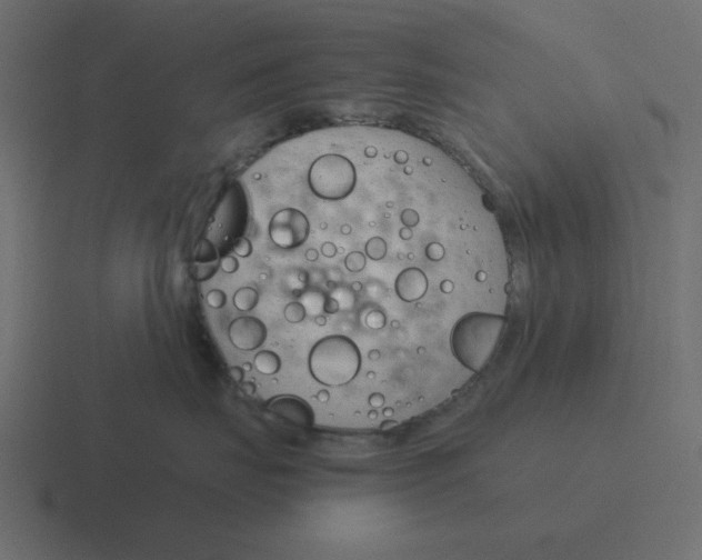 X0000116390671200912291751