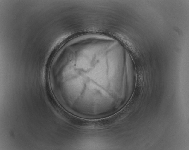 X0000116390678200912291750