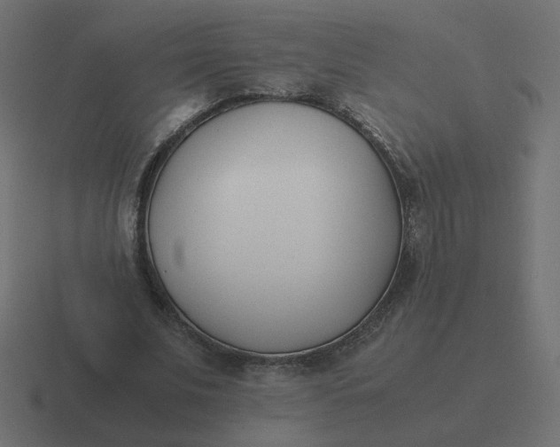 X0000116390679200912291750