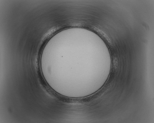 X0000116390682200912291750