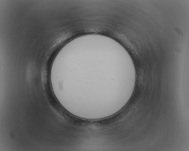 X0000116390683200912291750
