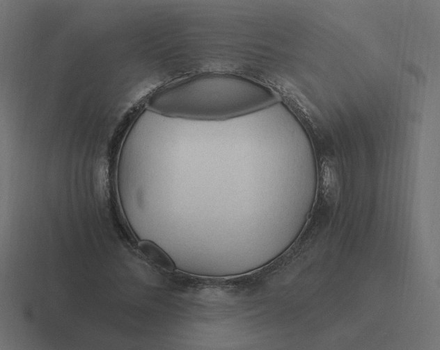 X0000116390684200912291750